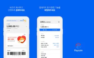 페이코인(PCI)
