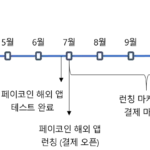페이코인 해외 사업 일정