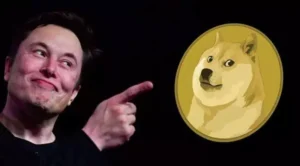 도지코인 일론 머스크 이미지