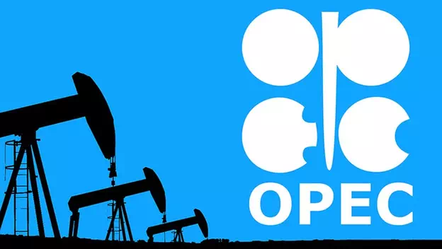 opec ci