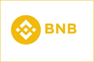 BNB 바이낸스 코인