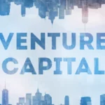 벤처캐피탈(VC)