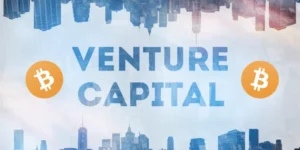 벤처캐피탈(VC)
