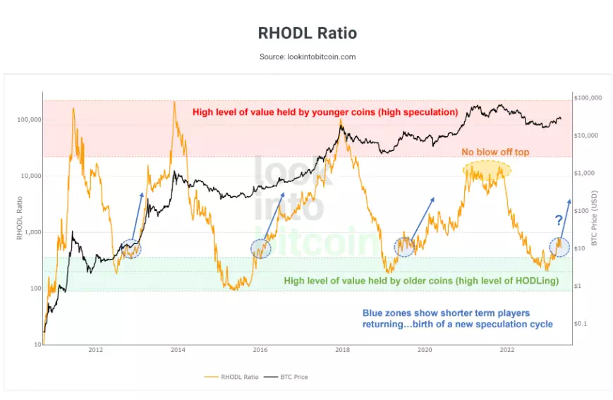 RHODL 비율 차트