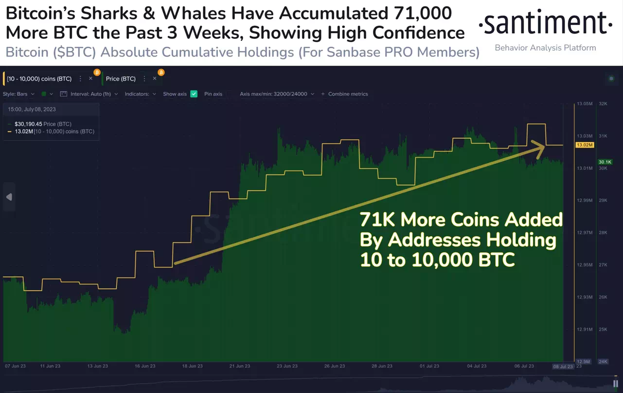 비트코인 고래 71,000 BTC 축적 / 출처 : 센티먼트