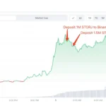 스토리지 차트 / 출처: 룩온체인