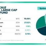 그레이스케일 디지털 라지 캡 펀드 / 출처 : 그레이스케일
