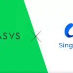 오아시스 싱귤레리티넷 파트너십