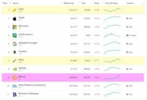 투자 자산 시가총액 순위 / Company MarketCap