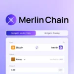 멀린 체인(MERL)