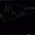 리얼비전 창립자의 분석