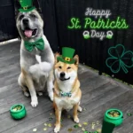 일론 머스크(Elon Musk) 트윗 이미지