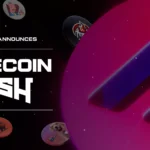 '밈코인 러시' 인센티브 프로그램