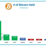 비트코인 보유량 / @HODL15Capital