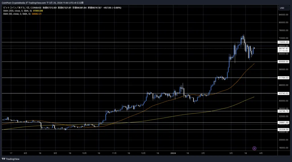 BTC/USD 일봉