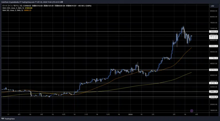 BTC/USD 일봉