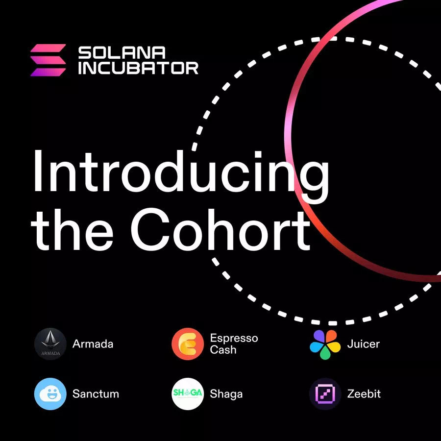 솔라나 랩스, 웹3 인큐베이터 프로그램 선정 6개팀