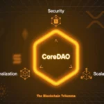 레이어1 코어(CORE)