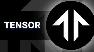 비트텐서(TNSR)
