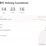 비트코인 반감기 / BTC.com