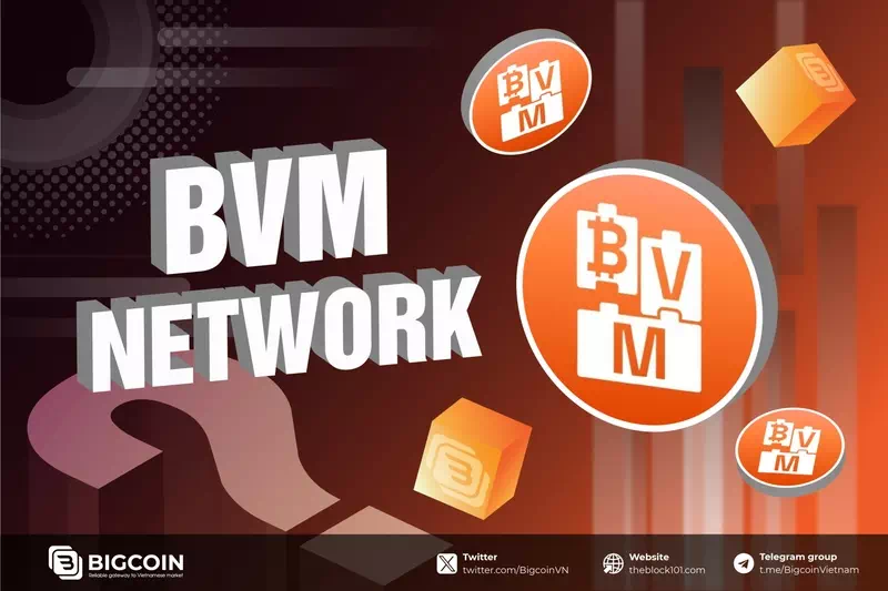 비브이엠 네트워크(BVM)