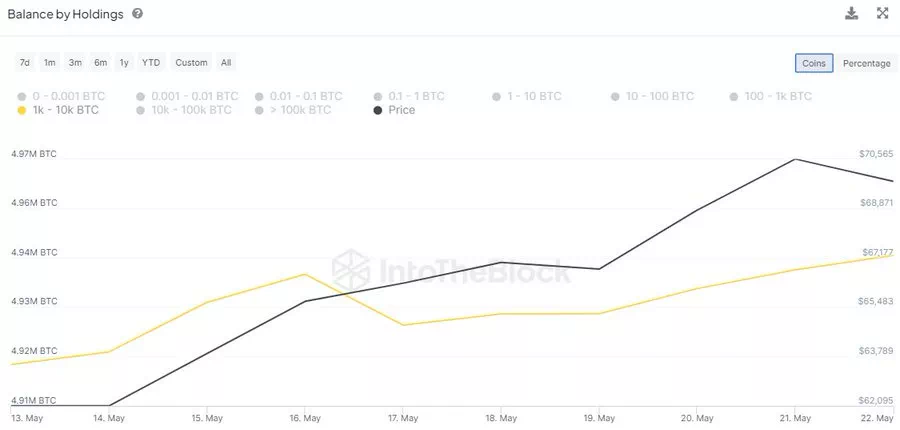 비트코인 고래들, 지난주 2만 BTC 추가 매수