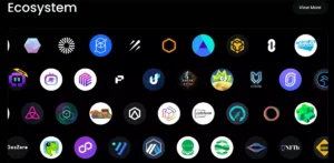 폴리헤드라 네트워크 생태계 : 폴리헤드라 공식 사이트