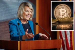 신시아 루미스 / 뉴욕포스트