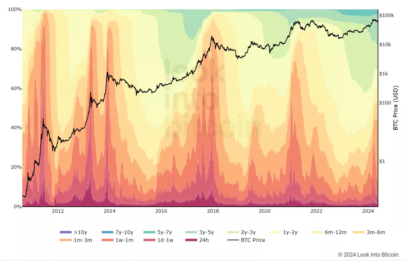 비트코인은 캡 HODL 파동을 실현 / Lookintobitcoin
