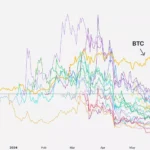BTC 및 바이낸스 상장 토큰 시세 흐름 / Haseeb
