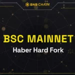 BSC 메인넷, 하버 하드포크 예정