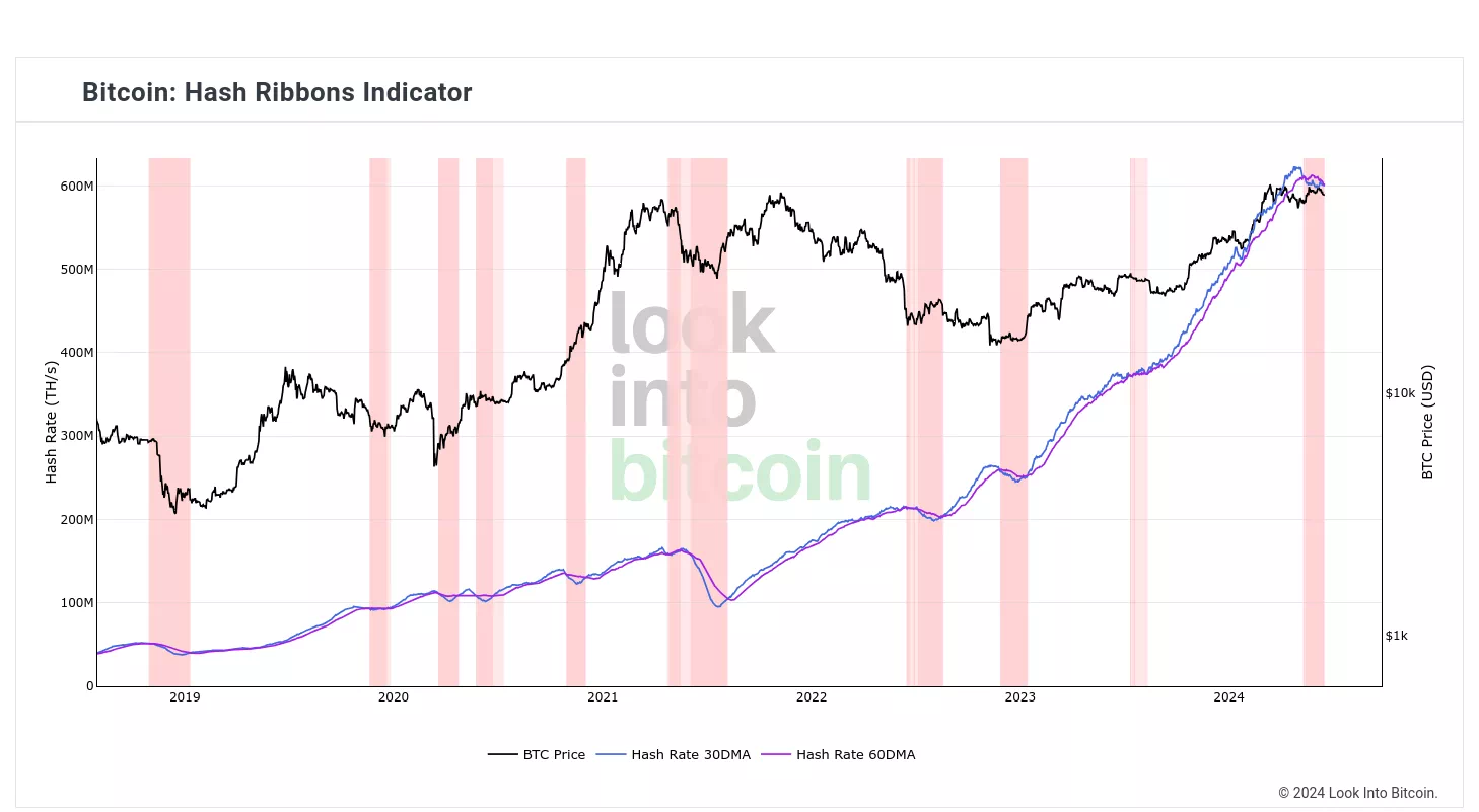 비트코인 해시 리본 / Look Into Bitcoin
