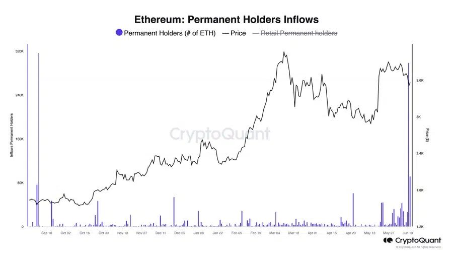 이더리움 장기 보유자 일간 29만8천 ETH 매수로 역대 2위 기록