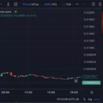 룩온체인(Lookonchain)