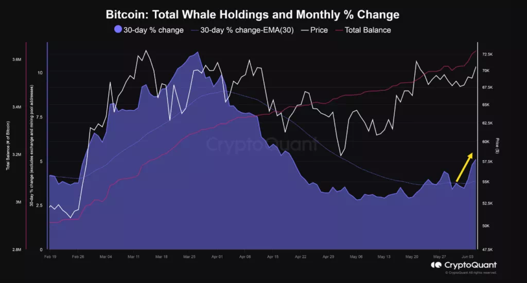 월간 비트코인 고래 보유량 / CryptoQuant