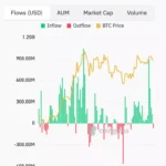 비트코인 시장 분석