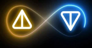 낫코인(Notcoin) - 톤코인(TON)