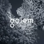 골렘 네트워크