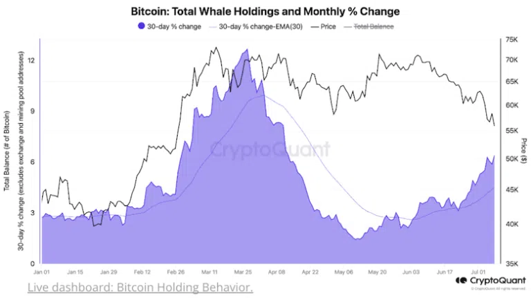 CryptoQuant-1-Whale-07-11