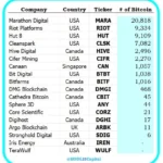 미국 상장 비트코인 채굴업체, 마라톤 디지털 보유량 1위… 2만 BTC 보유