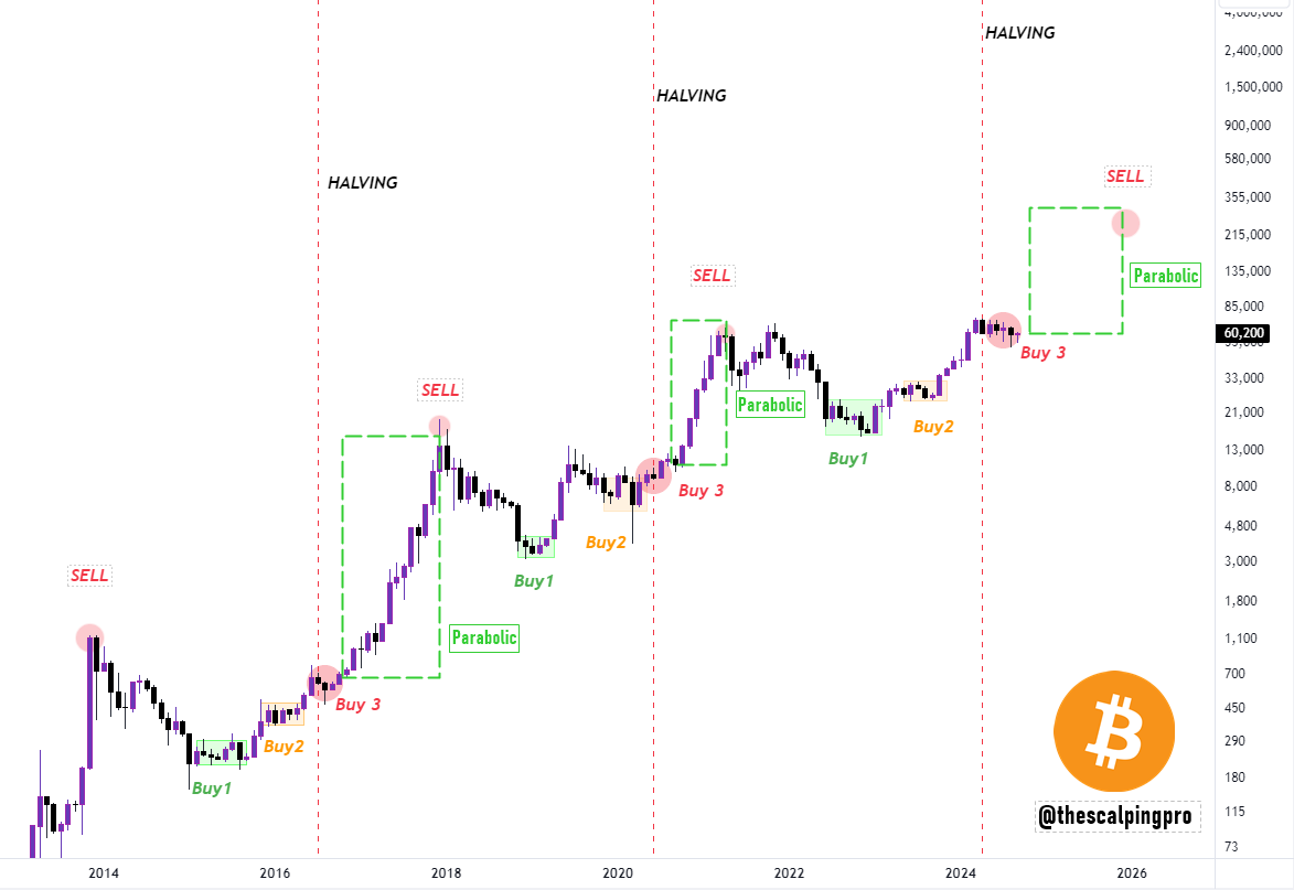 BTC/USD 역대 반감기 사이클 /Mags