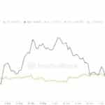 비트코인 고래들 지난 6개월 동안 19만 BTC 축적