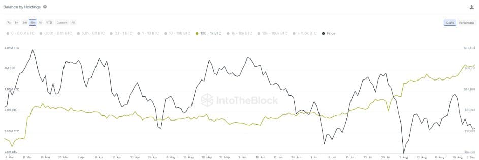 비트코인 고래들 지난 6개월 동안 19만 BTC 축적