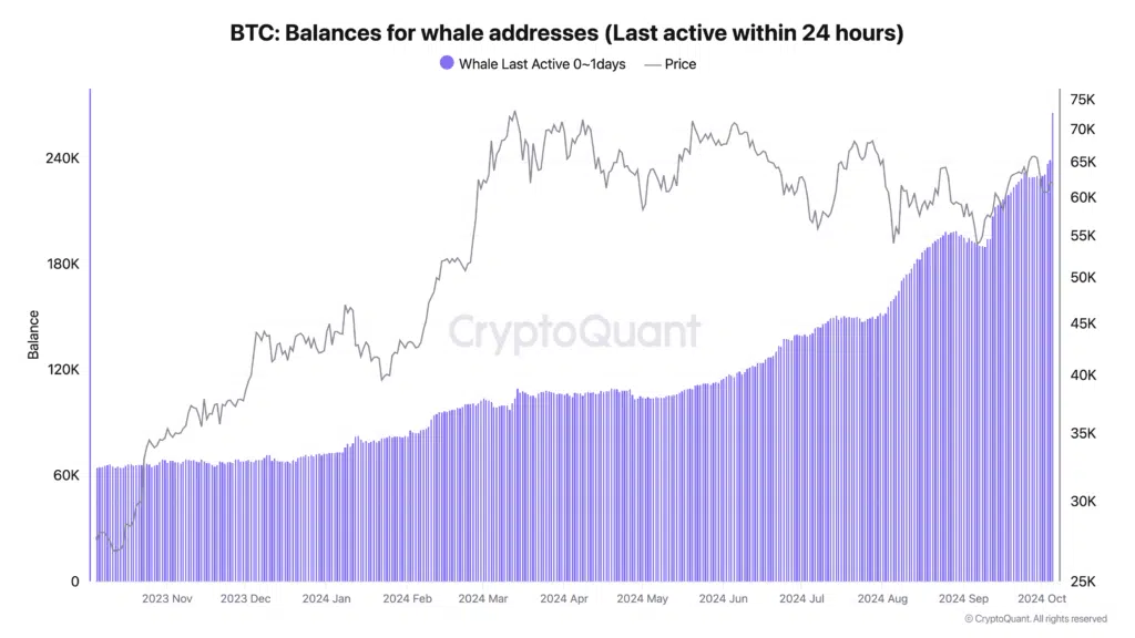 비트코인 활성 고래 주소 잔액 - CryptoQuant
