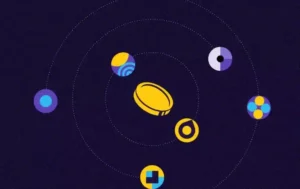 코인/토큰 개념도 - 팍스풀