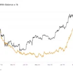 1000 BTC 이상 보유 주소 수 - 글래스노드