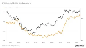 1000 BTC 이상 보유 주소 수 - 글래스노드