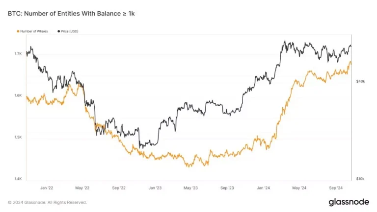 1000 BTC 이상 보유 주소 수 - 글래스노드