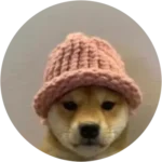 도그위프햇(WIF)