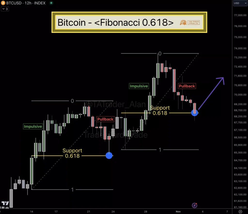 피보나치 되돌림 BTC/USD 차트 - Alan Tardigrade/X
